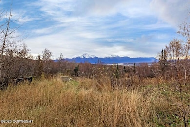 17050 E T and T Ln, Palmer, AK 99645 - photo 6