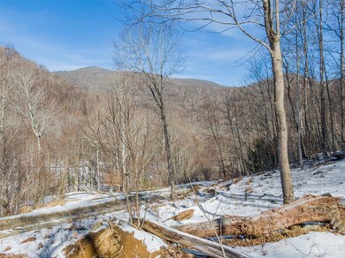 Lot 6 Settlement Way, Mars Hill, NC 28754 - photo 6