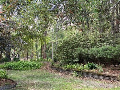 Side Yard