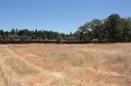 Forks 3