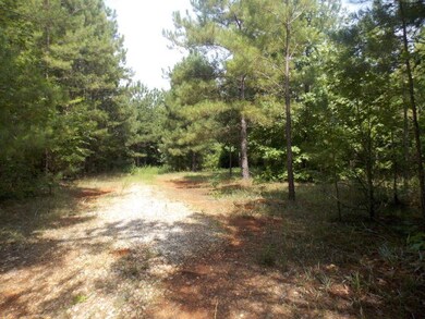 27 Amity Woodlawn Rd, Lincolnton, GA 30817 - photo 2