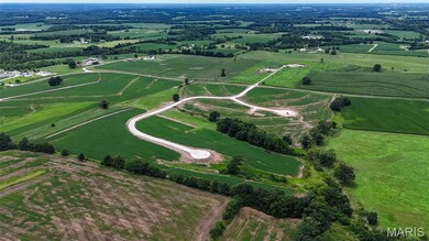 251 Autumn Hallow Ct, Old Monroe, MO 63369 - photo 6