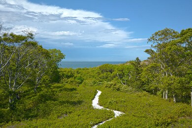 162 Gay Head Ave, Vineyard Haven, MA 02568 - photo 4