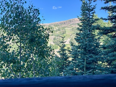 View from the front porch