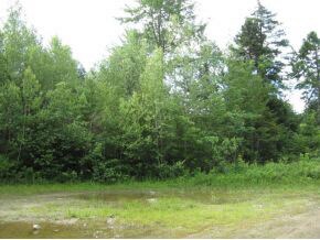 LOT 49 Forest View Dr, Effingham, NH 03882 - photo 4