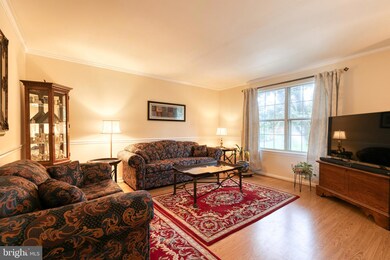 428 Maryland Ave, Catonsville, MD 21228 - photo 4