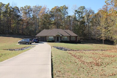 291 Sara Acres Dr, Tennessee Ridge, TN 37178 - photo 3