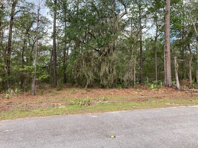 Center Lot Photo