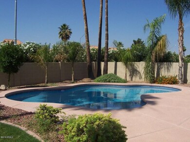 Backyard and Pool
