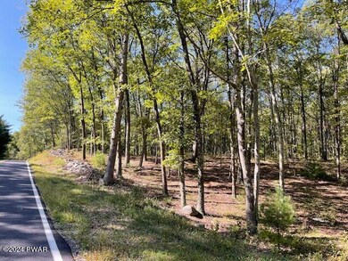 Lot 36 Mt Shadow Ln & Roosie Rd, Bushkill, PA 18324 - photo 2