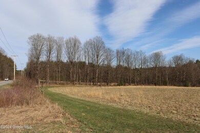 1 Chuck Hollow Dr, Milton, NY 12020 - photo 5