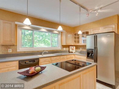 15431 Snowhill Ln, Centreville, VA 20120 - photo 7