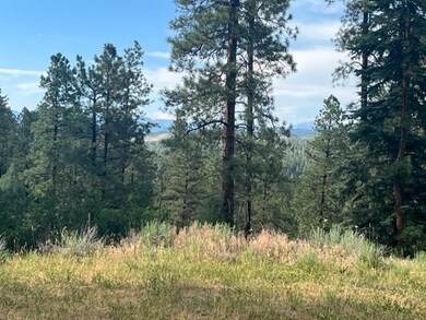 TBD Log Ridge Trail, Chama, NM 87520 - photo 4