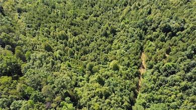 Drone / aerial view of a heavily wooded area