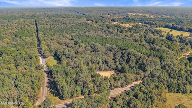 0 Cleary Rd, Florence, MS 39073 - photo 3