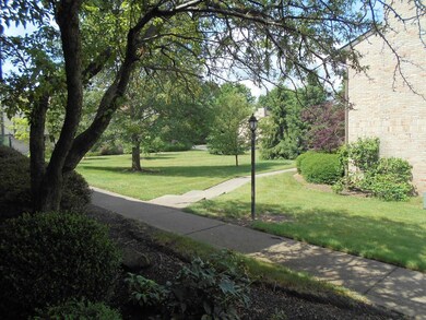View from Front Door