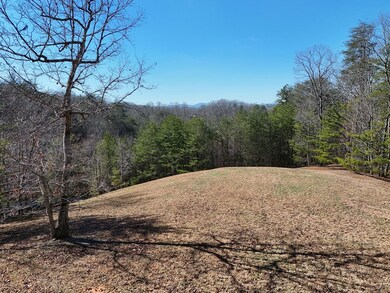 LT 13/14 S Williamstown Ridge, Mineral Bluff, GA 30559 - photo 3