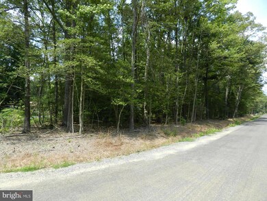 0 Placid Point unit 1000025873, Colonial Beach, VA 22443 - photo 2