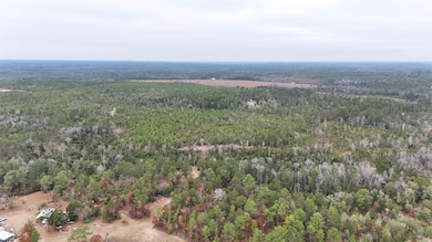 Vacant Joshua Rd, Marianna, FL 32448 - photo 3