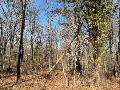 Lot 16 Saxilby Ln, Bella Vista, AR 72715 - photo 4