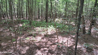 Lot 20 Airport Rd (Pca), Rockwood, TN 37854 - photo 5