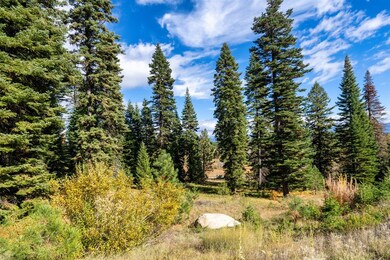 459 Osprey View Dr unit 90, McCall, ID 83638 - photo 2