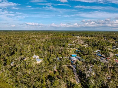 117 SW 818th St, Steinhatchee, FL 32359 - photo 3