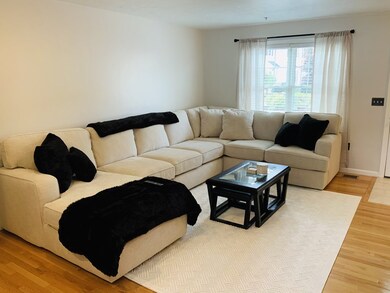 113 Boxberry Ln unit 113, Rockland, MA 02370 - photo 7