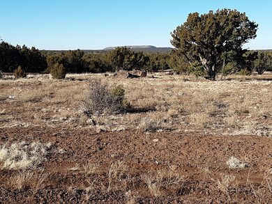 20191220_145806