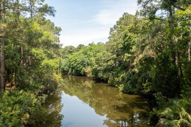 Coastealrephoto2913sbirdrone-9