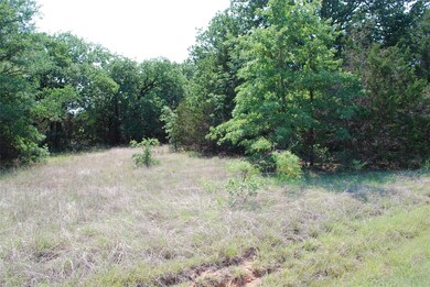 44068 Mountain Sage Dr, Whitney, TX 76692 - photo 3