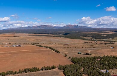 3433 Cr 119, Hesperus, CO 81326 - photo 7