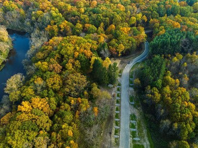 Aerial With River