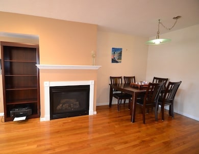 47 Alder St unit 9, Waltham, MA 02453 - photo 5