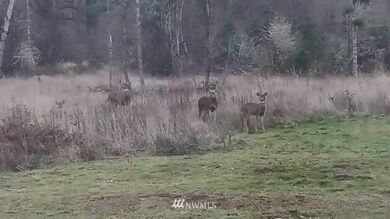 389 Avery Rd E, Chehalis, WA 98532 - photo 2