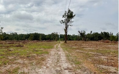 0 SW 79th Dr unit 118331, Jasper, FL 32052 - photo 3