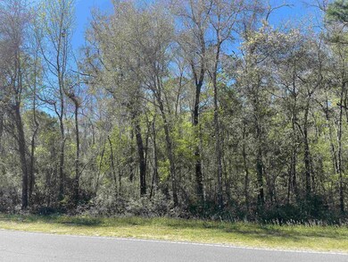 xx Spring Creek Hwy, Crawfordville, FL 32327 - photo 2