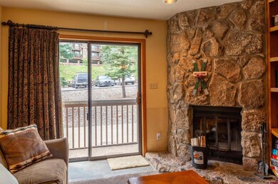 50827 Highway 550 unit 312, Durango, CO 81301 - photo 2