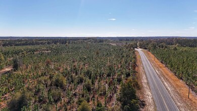 Mt Pisgah Road C SC Land for Sale-09