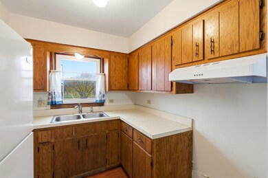 3821 W 123rd St unit 301, Alsip, IL 60803 - photo 7