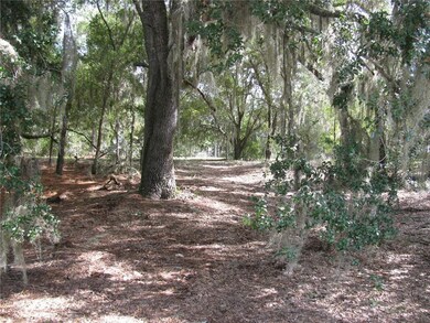 0 Malauka Loop unit G5027920, Ocklawaha, FL 32179 - photo 3