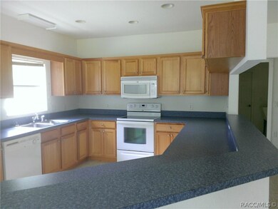 19381 SW 100th Loop, Dunnellon, FL 34432 - photo 4