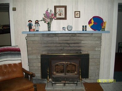 9529 Nichols Lake Dr, Bitely, MI 49309 - photo 3