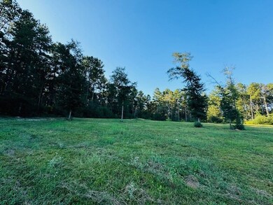 75 Leonard Holmes Rd, Tylertown, MS 39667 - photo 7