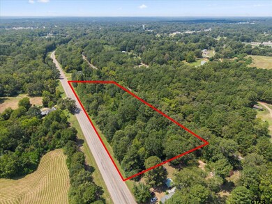 TBD Texas 49, Jefferson, TX 75657 - photo 4