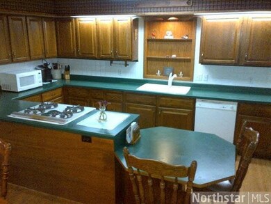 17383 231st Ave, Long Prairie, MN 56347 - photo 4