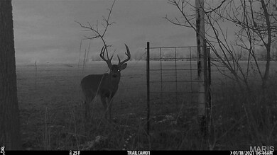 0 Central Grove Rd & Marling Rd N unit MIS25030827, Montgomery, MO 63359 - photo 5