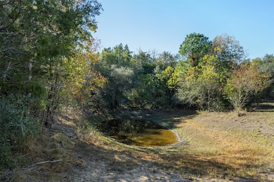 1045 Old New Ulm Rd, New Ulm, TX 78950 - photo 5