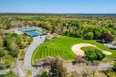 Baseball, tennis & Pickleball