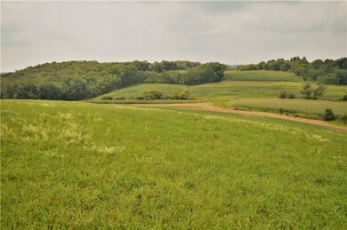 View from Meadowview Cul De Sac with crops planted